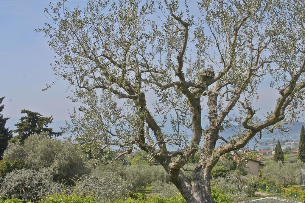 Lovely Villa Elena - Garda Lake Bardolino Zewnętrze zdjęcie
